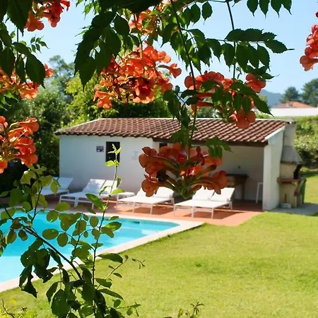 Vakantiehuis Casa Dos Esteios- Paredes
