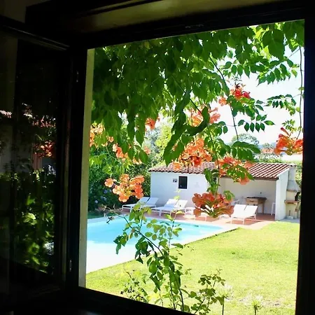 Casa Dos Esteios- Paredes * Penafiel